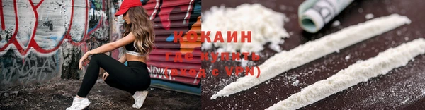 прущие грибы Ельня