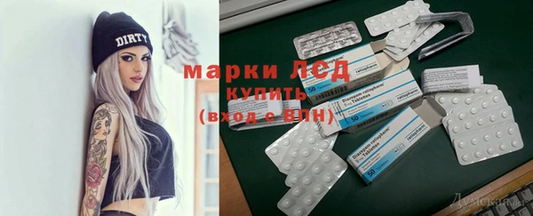 тгк Дмитриев