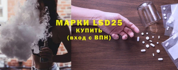 прущие грибы Ельня