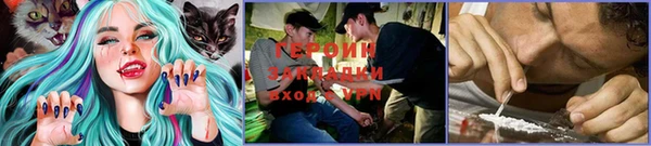 мдпв Дмитровск
