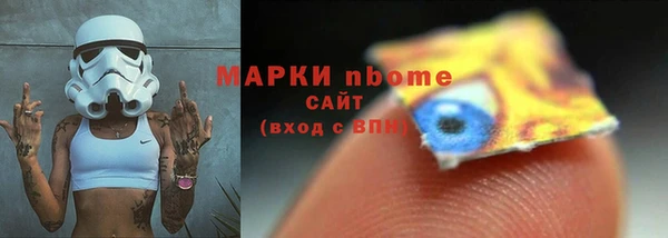 тгк Дмитриев