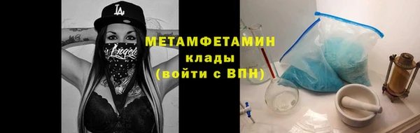 прущие грибы Ельня