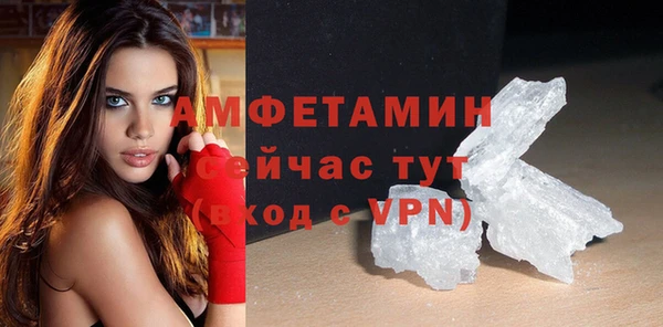 соль ск Пересвет