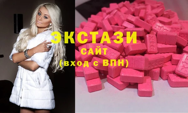 тгк Дмитриев