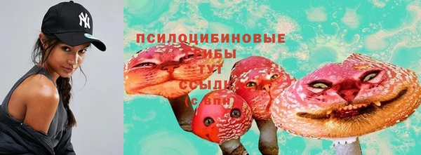прущие грибы Ельня