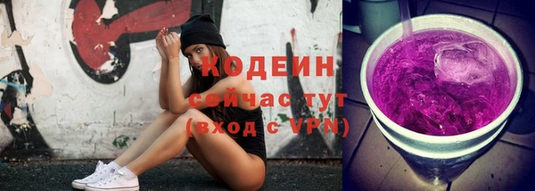 тгк Дмитриев