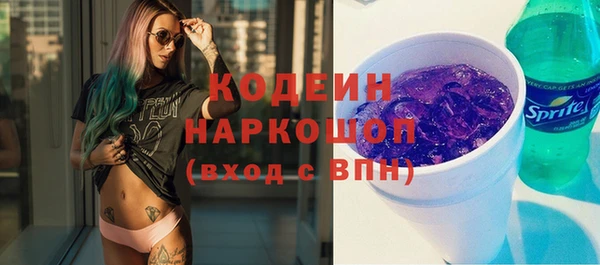 прущие грибы Ельня
