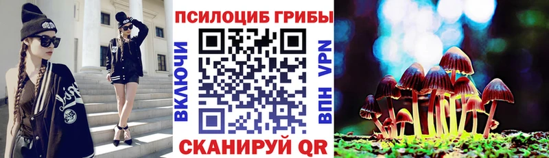 Псилоцибиновые грибы GOLDEN TEACHER  Салехард 